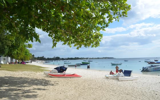 Fishing boats pulled up on a shaded public beach