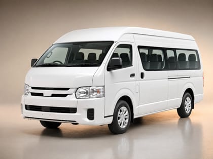 White minivan used for family transfers and excursions